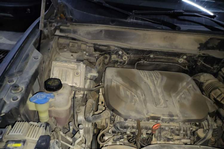 Used Haval DARGO 2022 2.0T DCT 4x4 Chinese Rural Dog Edition Engine Bay Right