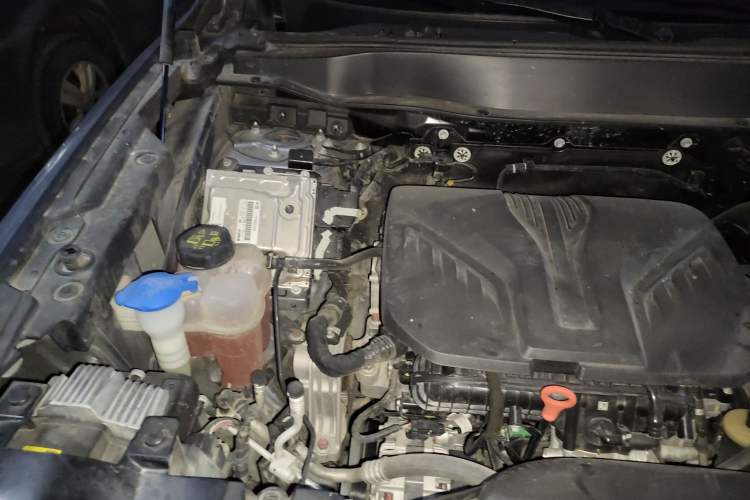 Used Haval DARGO 2022 2.0T DCT 4x4 Chinese Rural Dog Edition Engine Bay Right