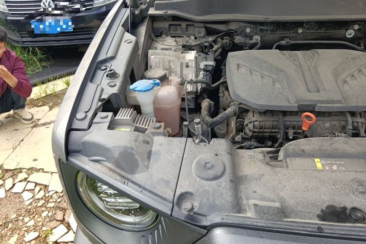 Used Haval DARGO 2022 2.0T DCT 4x4 Chinese Rural Dog Hunting Edition Engine Bay Right