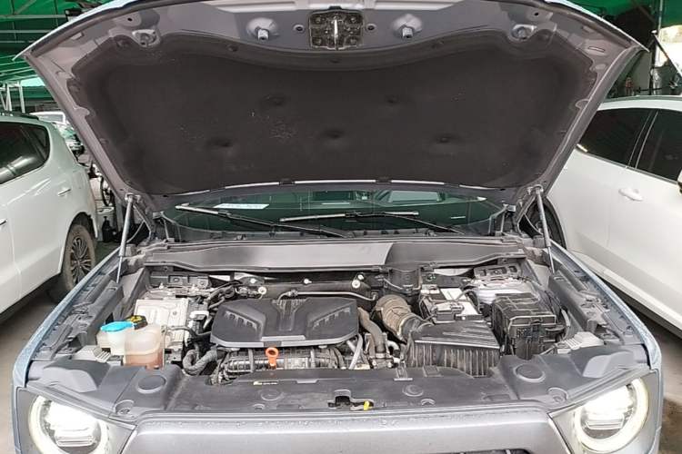 Used Haval DARGO 2022 2.0T DCT 4x4 Chinese Rural Dog Hunting Edition Engine Bay