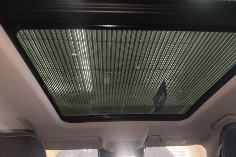 Used Haval DARGO 2022 2.0T DCT 4x4 Chinese Rural Dog Hunting Edition Headliner