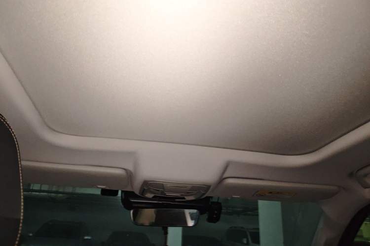 Used Haval DARGO 2022 2.0T DCT 4x4 Chinese Rural Dog Hunting Edition Headliner