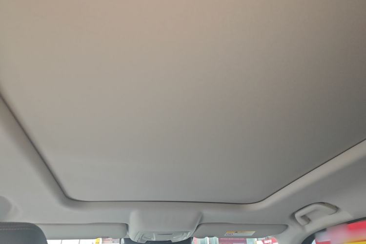 Used Haval DARGO 2022 2.0T DCT All-Wheel-Drive Xiaotianque Version Headliner