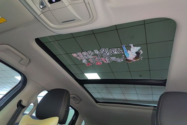 Used Haval DARGO 2022 1.5T DCT Two-Wheel Drive Border Collie Edition Headliner