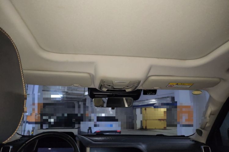 Used Haval DARGO 2022 2.0T DCT 4x4 Chinese Rural Dog Edition Headliner