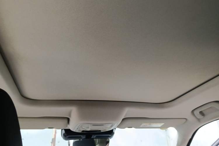 Used Haval DARGO 2022 2.0T DCT 4x4 Chinese Rural Dog Hunting Edition Headliner