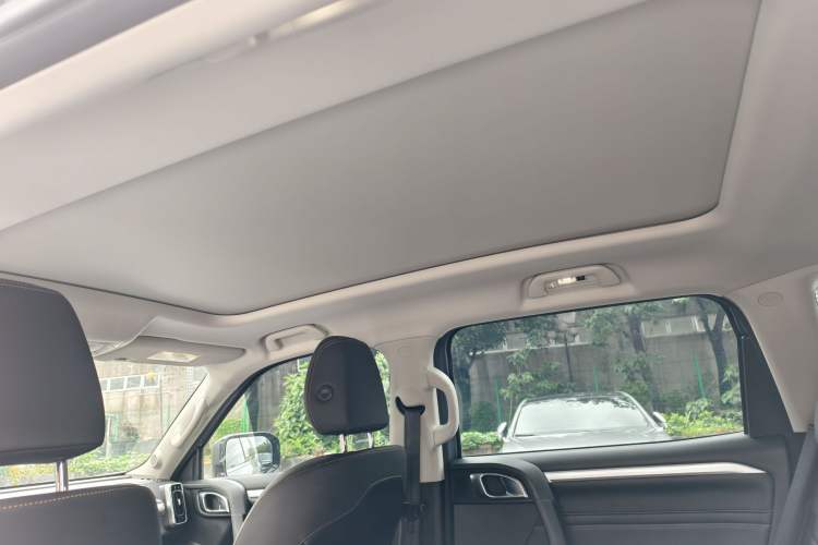 Used Haval DARGO 2022 2.0T DCT 4x4 Chinese Rural Dog Hunting Edition Headliner