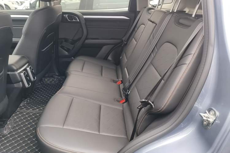 Used Haval DARGO 2022 1.5T DCT Two-Wheel Drive Border Collie Edition Left Rear Seat