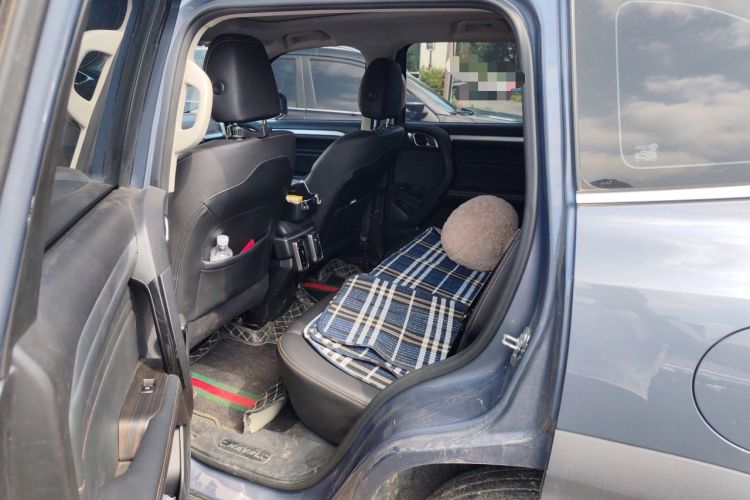 Used Haval DARGO 2022 1.5T DCT Two-Wheel Drive Border Collie Edition Left Rear Seat