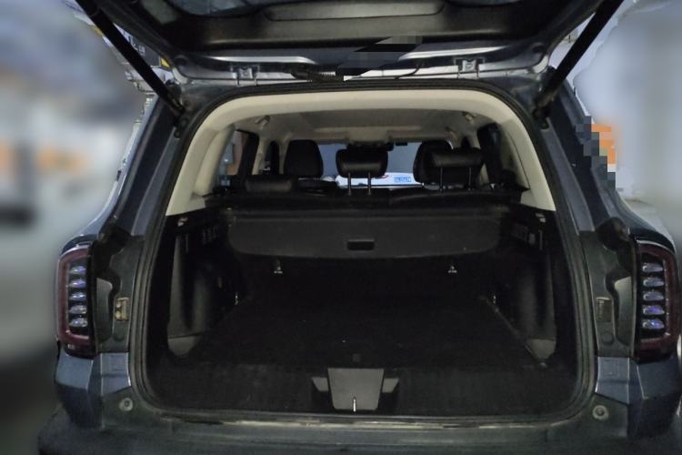 Used Haval DARGO 2022 2.0T DCT 4x4 Chinese Rural Dog Edition Trunk