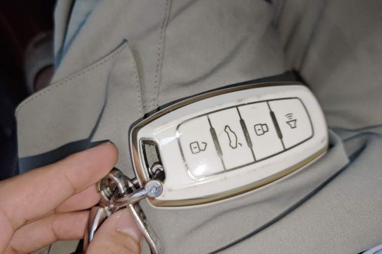 Used Haval DARGO 2022 1.5T DCT Two-Wheel Drive Border Collie Edition Vehicle Key