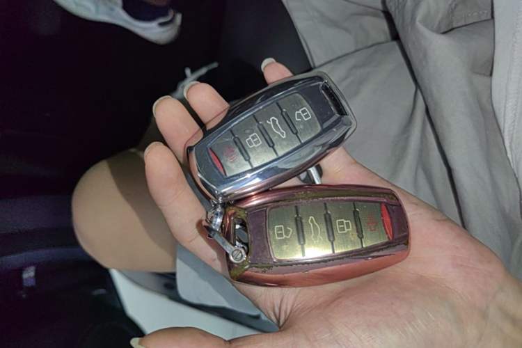 Used Haval DARGO 2022 1.5T DCT Two-Wheel Drive Border Collie Edition Vehicle Key