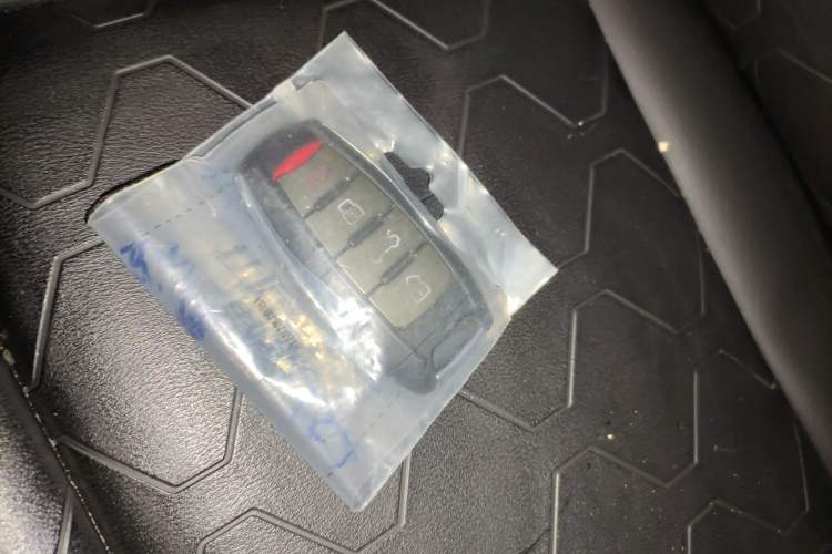 Used Haval DARGO 2022 2.0T DCT 4x4 Chinese Rural Dog Edition Vehicle Key