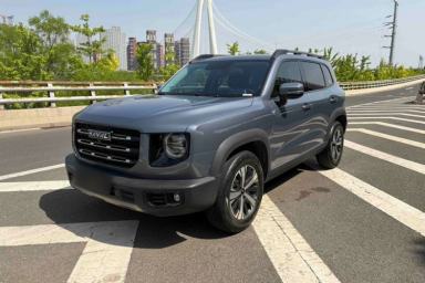 Used Haval DARGO 2022 1.5T DCT Two-Wheel Drive Labrador Edition