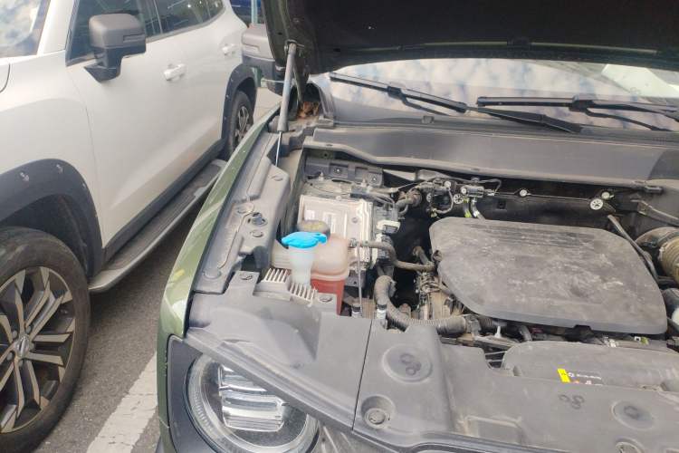 Used Haval DARGO 2022 1.5T DCT Two-Wheel Drive Mastiff Pursuit Edition Engine Bay Right