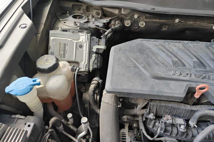 Used Haval DARGO 2022 1.5T DCT Two-Wheel Drive Border Collie Edition Engine Bay Right