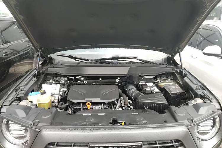 Used Haval DARGO 2022 2.0T DCT 4x4 Chinese Rural Dog Hunting Edition Engine Bay