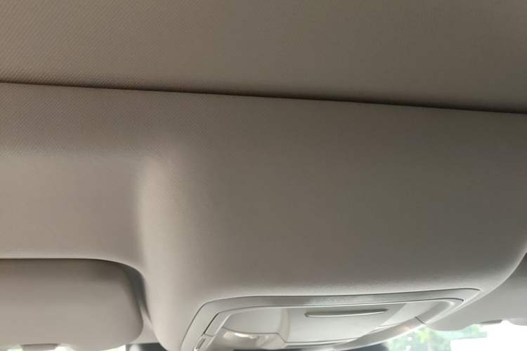 Used Haval DARGO 2022 2.0T DCT 4x4 Chinese Rural Dog Hunting Edition Headliner
