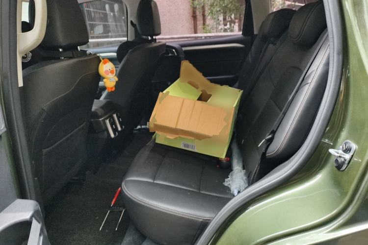 Used Haval DARGO 2022 2.0T DCT All-Wheel-Drive Xiaotianque Version Left Rear Seat
