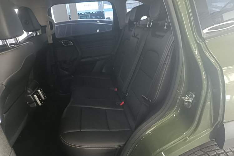 Used Haval DARGO 2022 1.5T DCT Two-Wheel Drive Labrador Edition Left Rear Seat