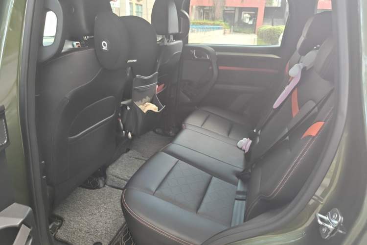 Used Haval DARGO 2022 1.5T DCT Two-Wheel Drive Border Collie Edition Left Rear Seat
