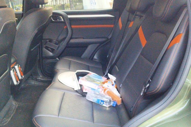 Used Haval DARGO 2022 1.5T DCT Two-Wheel Drive Border Collie Edition Left Rear Seat