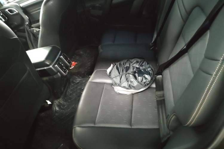 Used Haval DARGO 2022 1.5T DCT Two-Wheel Drive Mastiff Edition Left Rear Seat
