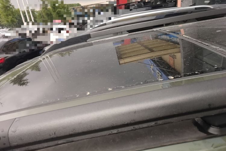Used Haval DARGO 2022 2.0T DCT 4x4 Chinese Rural Dog Hunting Edition Roof