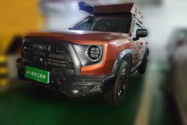 Used Haval DARGO 2022 2.0T DCT 4x4 Chinese Rural Dog Hunting Edition
