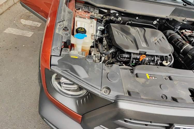 Used Haval DARGO 2022 2.0T DCT 4x4 Chinese Rural Dog Hunting Edition Engine Bay Right