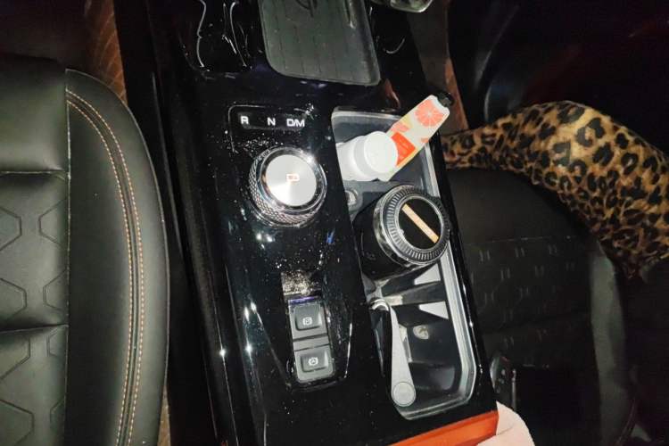 Used Haval DARGO 2022 2.0T DCT 4x4 Chinese Rural Dog Hunting Edition Gear Lever