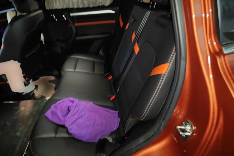 Used Haval DARGO 2022 2.0T DCT 4x4 Chinese Rural Dog Hunting Edition Left Rear Seat