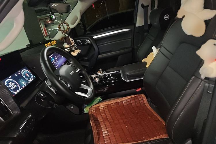 Used Haval DARGO 2022 1.5T DCT Two-Wheel Drive Border Collie Edition Left Front Seat