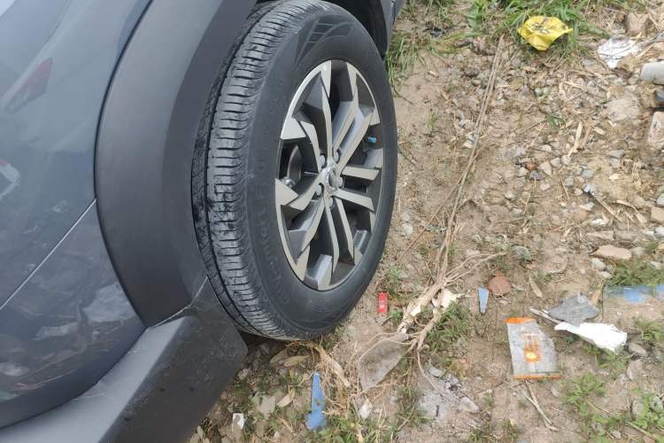 Used Haval DARGO 2022 1.5T DCT Two-Wheel Drive Border Collie Edition Exterior 4