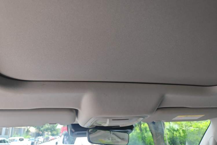 Used Haval DARGO 2022 2.0T DCT 4x4 Chinese Rural Dog Edition Headliner