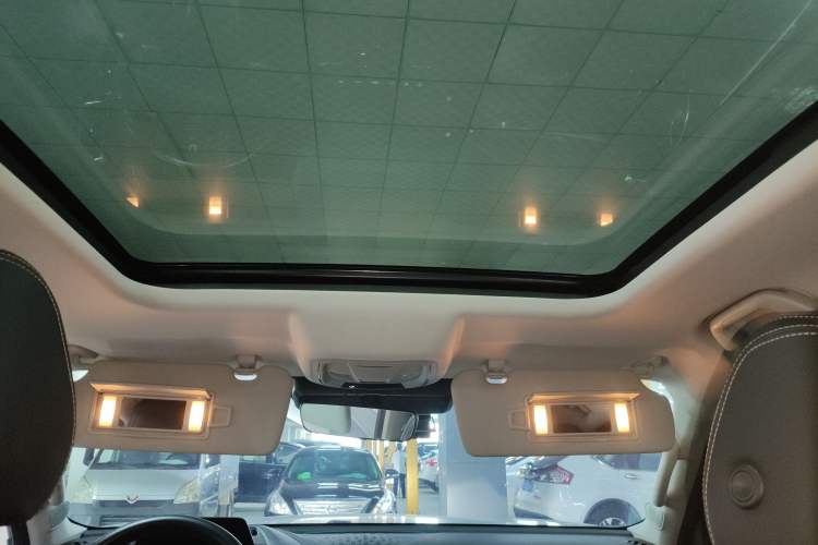 Used Haval DARGO 2022 2.0T DCT 4x4 Chinese Rural Dog Edition Headliner