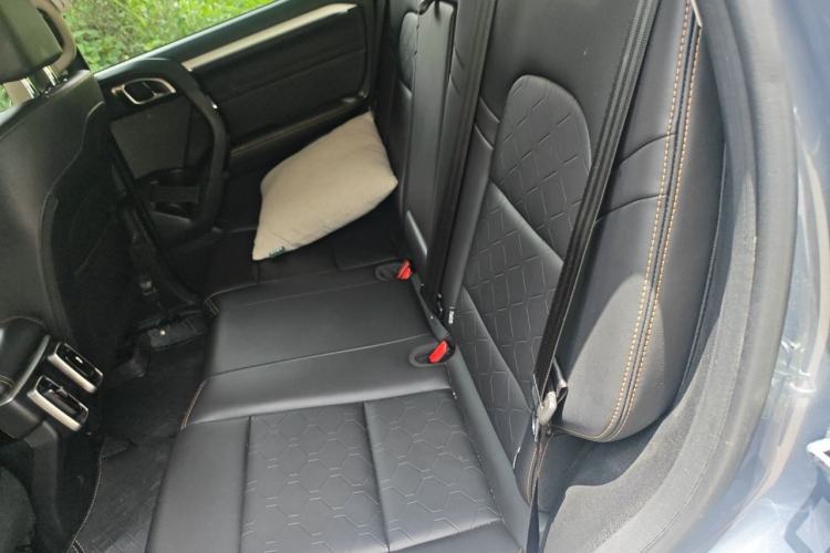 Used Haval DARGO 2022 2.0T DCT 4x4 Chinese Rural Dog Edition Left Rear Seat