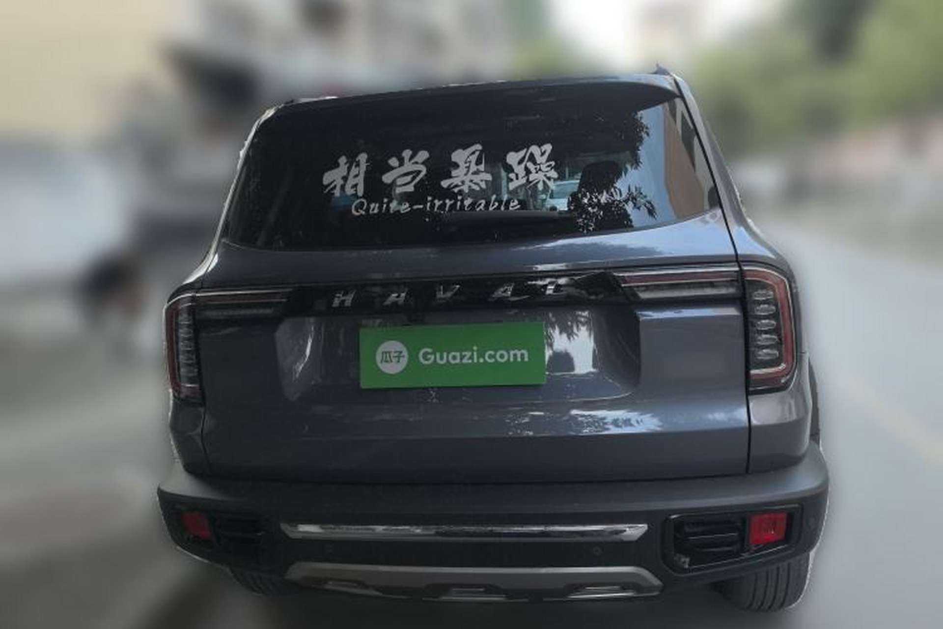 Used Haval DARGO 2022 2.0T DCT Two-Wheel Drive Huazhong Hound Edition Rear