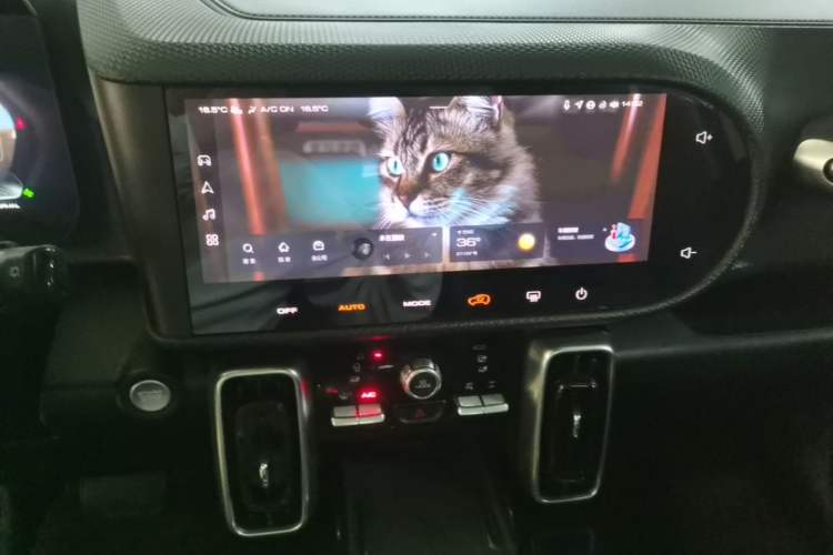 Used Haval DARGO 2022 2.0T DCT 4x4 Chinese Rural Dog Edition Audio And AC Panel