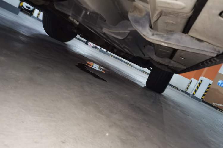 Used Haval DARGO 2022 2.0T DCT 4x4 Chinese Rural Dog Hunting Edition Chassis Rear Right