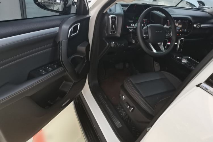 Used Haval DARGO 2022 2.0T DCT 4x4 Chinese Rural Dog Edition Driver Seat