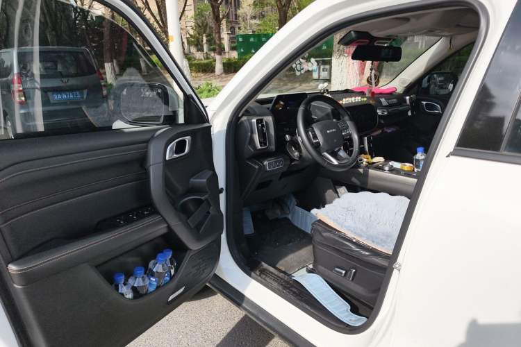 Used Haval DARGO 2022 1.5T DCT Two-Wheel Drive Labrador Edition Driver Seat