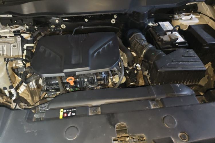 Used Haval DARGO 2022 2.0T DCT 4x4 Chinese Rural Dog Hunting Edition Engine Bay