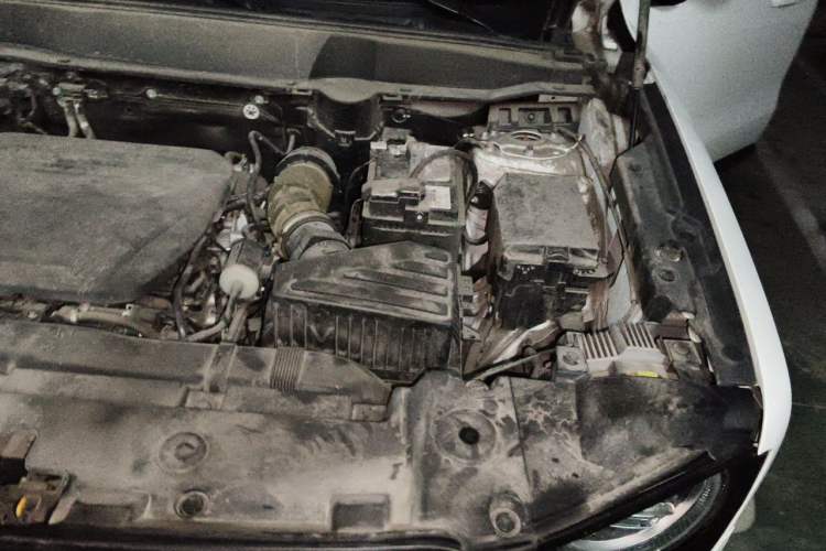 Used Haval DARGO 2022 1.5T DCT Two-Wheel Drive Border Collie Edition Engine Bay Left