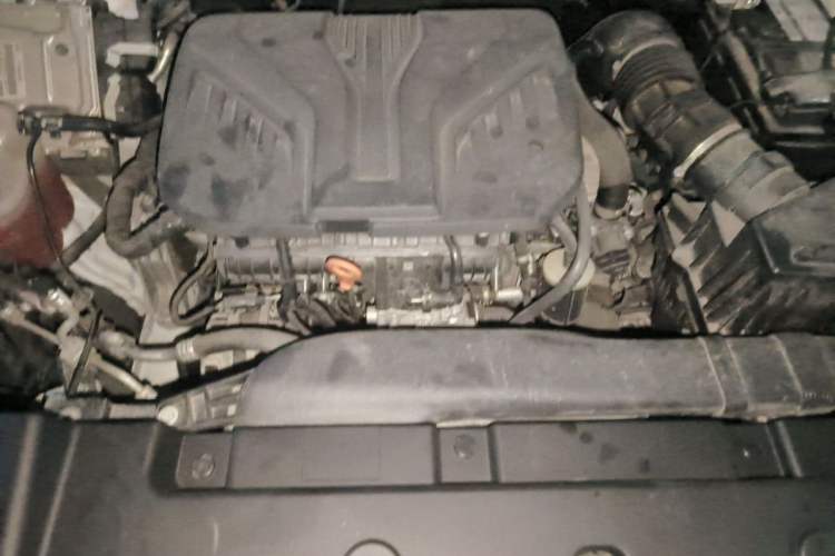 Used Haval DARGO 2022 2.0T DCT 4x4 Chinese Rural Dog Hunting Edition Engine Bay