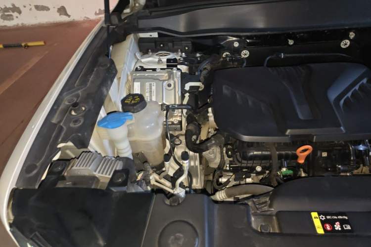 Used Haval DARGO 2022 2.0T DCT 4x4 Chinese Rural Dog Hunting Edition Engine Bay Right