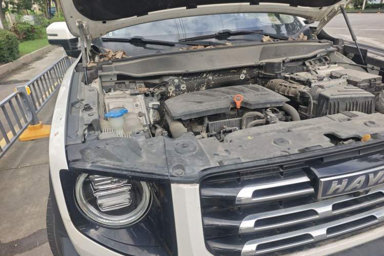Used Haval DARGO 2022 1.5T DCT Two-Wheel Drive Border Collie Edition Engine Bay Right