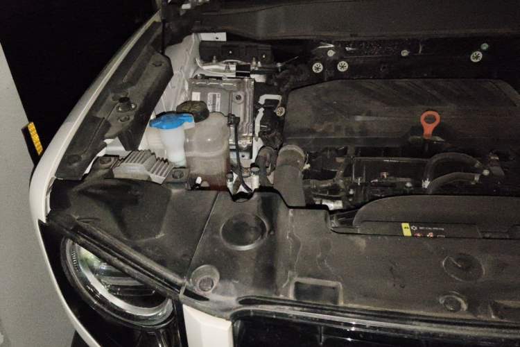Used Haval DARGO 2022 1.5T DCT Two-Wheel Drive Border Collie Edition Engine Bay Right