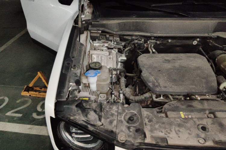 Used Haval DARGO 2022 1.5T DCT Two-Wheel Drive Border Collie Edition Engine Bay Right