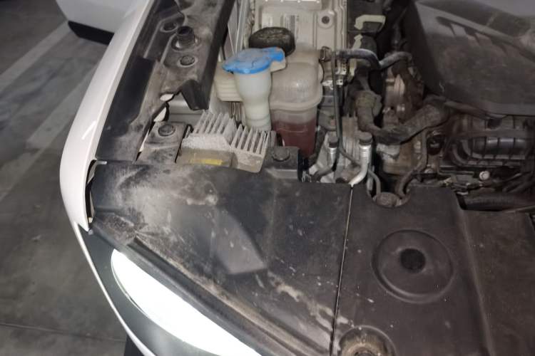 Used Haval DARGO 2022 2.0T DCT 4x4 Chinese Rural Dog Hunting Edition Engine Bay Right